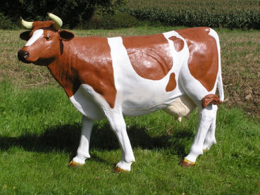 Dekofigur "Elsa" Lebensgroße,  braun-weisse Kuh, 160cm hoch